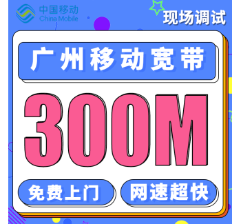 广东单宽带东莞移动300M